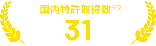 国内特許取得数※2 31